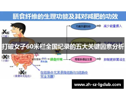 打破女子60米栏全国纪录的五大关键因素分析