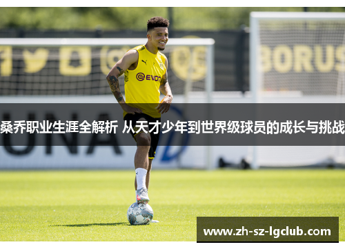 桑乔职业生涯全解析 从天才少年到世界级球员的成长与挑战