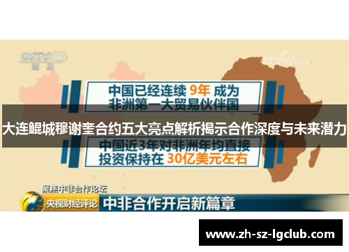 大连鲲城穆谢奎合约五大亮点解析揭示合作深度与未来潜力