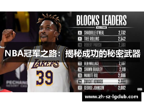 NBA冠军之路：揭秘成功的秘密武器