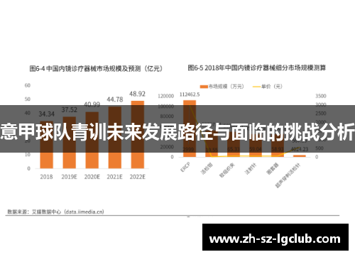 意甲球队青训未来发展路径与面临的挑战分析