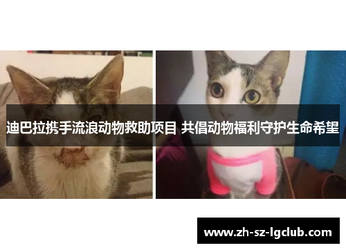 迪巴拉携手流浪动物救助项目 共倡动物福利守护生命希望